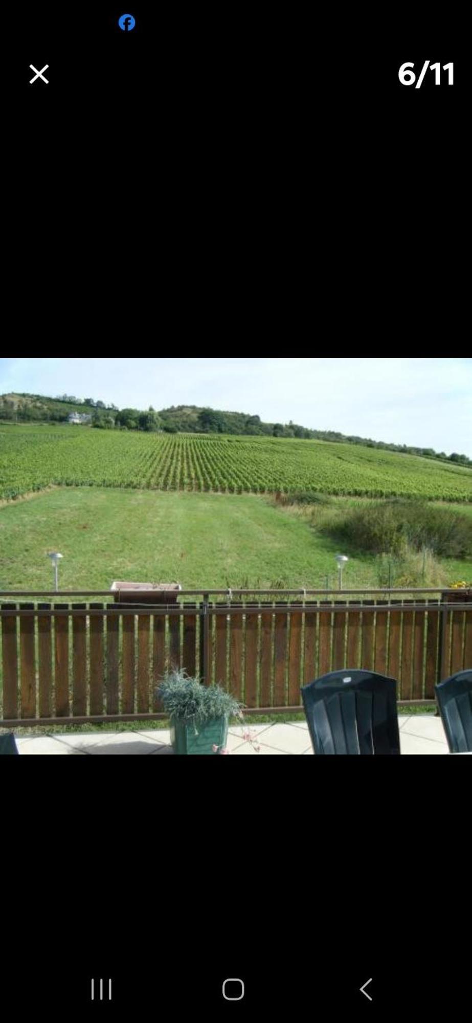 Maison Au Milieu Des Vignes Moroges Exterior photo